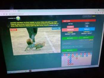 7 arrested for gambling online cockfighting game