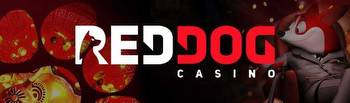 American Casino Red Dog: What Bonuses does It Offer to Its Players?