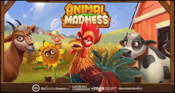 Animal Madness (video slot) launched by Play‘n GO