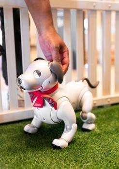 Resort World Las Vegas greets guests with robotic puppies