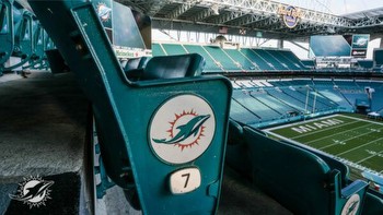 The Miami Dolphins' Impact on Online Casino Gaming