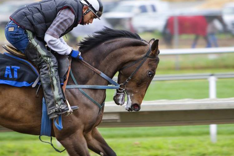 Horse Racing vs Casino Games