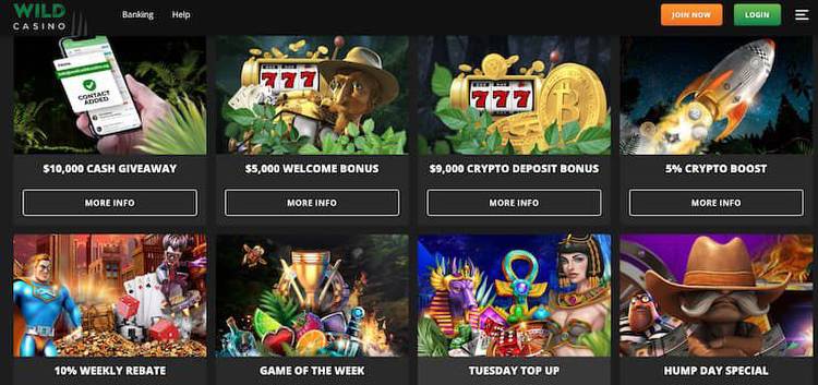 wild casino bonus codes page