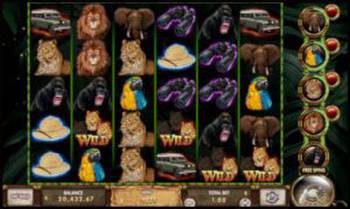 2 Kings of Africa (video slot) from Red Rake Gaming
