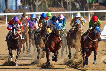 4 Major Differences between Horse Race Betting and Online Casino Gambling