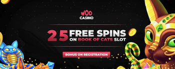5 Things You Have to Know About Woo Casino Bonus Terms
