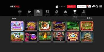 Best Online Slots to Play in 2022 for Real Money