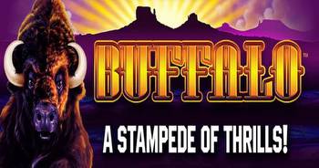 BetMGM Launches Online Buffalo Slot Game In New Jersey