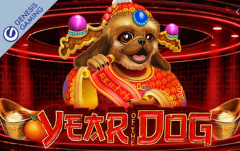Bovada Casino: Lucky Winner Hit $100,850 Jackpot on Year of the Dog