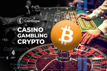 Crypto Casino Gambling: The Associated Pros and Cons