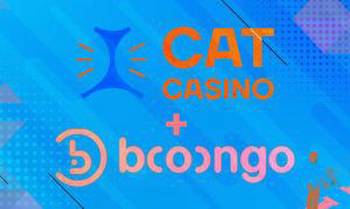 Curacao online casino operator launches Booongo slots
