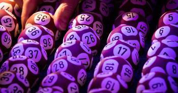 Data predicts that these five EuroMillions numbers are most likely to win next as jackpot hits €17m