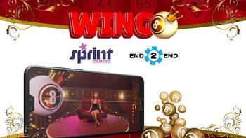 END 2 END partners with Sprint Gaming to launch its new online bingo product WINGO