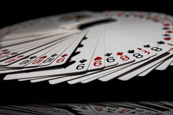 Everything You Need to Know About Online Gambling Websites