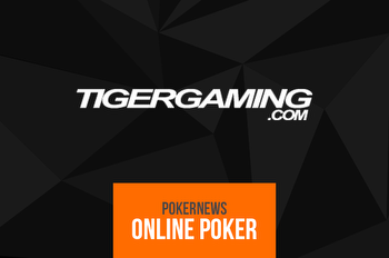 Five Fantastic Reasons Why You Should Play on TigerGaming