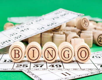From Novice to Master: How to Excel at Online Bingo in the UK