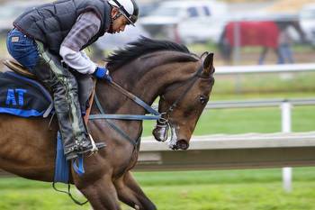 Horse Racing vs Casino Games