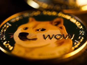 How Can I Fish Out the Best Dogecoin Casinos?