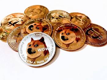 How to use dogecoin in gambling?