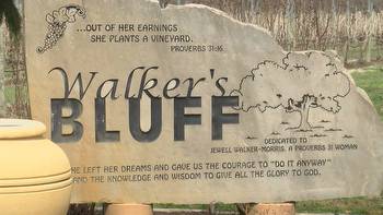Ill. Gaming Board approves license for new Walker’s Bluff casino