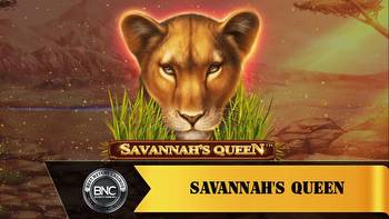 mBit Casino New Slot: Savannah’s Queen Offers Large Swing Wins
