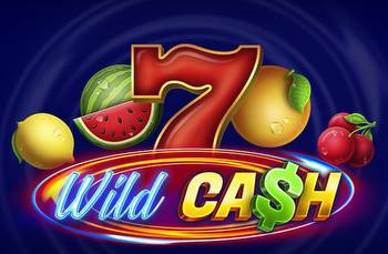 mBit Casino New Slot: Wild Cash Raises Stake up to 999x in Bonus Game