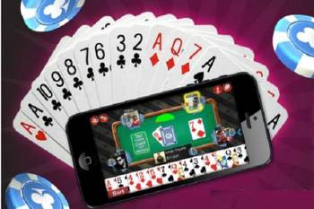 Online gambling ban: TN Government seeks inputs from stakeholders