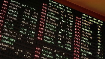 Online gambling operators launch responsible betting organization
