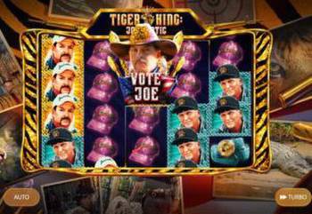 Online Slots Bring TV Favorites Tiger King, Baywatch And More To Casino