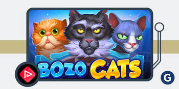 Playson Launches Engaging New Slot Bozo Cats