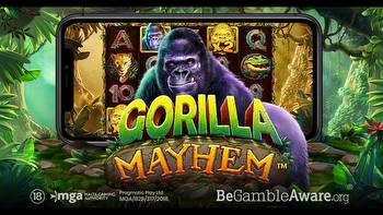Pragmatic Play launches new jungle-themed slot Gorilla Mayhem