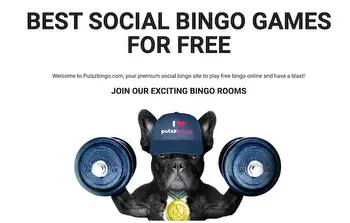 Pulsz Bingo Promo Code & No Deposit Bonus Review 2024