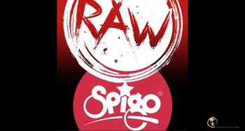 RAW iGaming acquires Lady Luck's Spigo portfolio to enhance its casual games