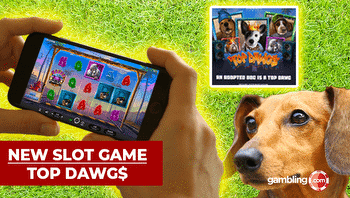 Relax Gaming's Top Dawgs Online Slot Game
