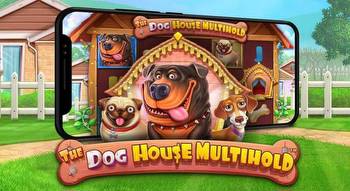 The Dog House Multihold Slot Review 2023