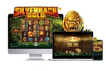 The mighty Silverback gorilla comes to NetEnt with the launch of Silverback Gold