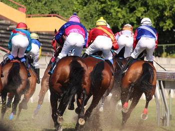 The most interesting earning strategies for horse racing and online casinos