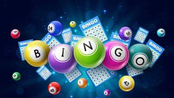 The popularity of Online Bingo Is on The Rise
