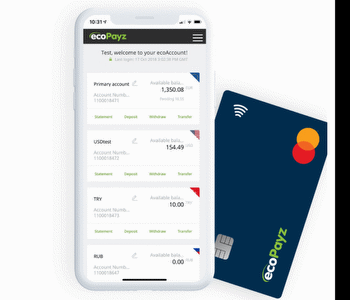 Using EcoPayz for Casino Payments