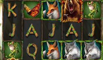 Visit Everygame Poker to try the new online slot Primal Wilderness