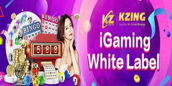 What are the main types of games in the casino platform?