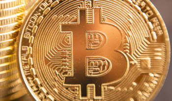 What is driving the rise in the popularity of bitcoin casinos?