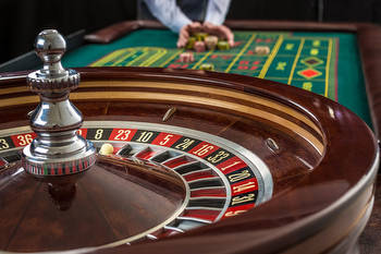 What to Look For When Choosing a Live Casino Site