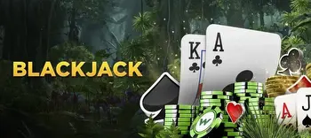 Why do sports betting fans play live dealer blackjack?
