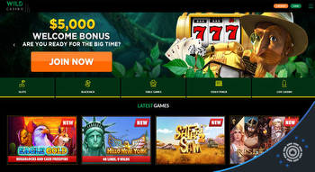 Wild Casino: Unleashing the Excitement of Online Gambling