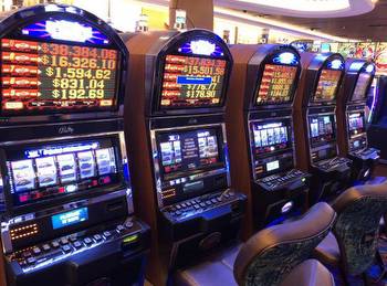 Wild Fortune Casino: Your Ultimate Guide to Winning Big
