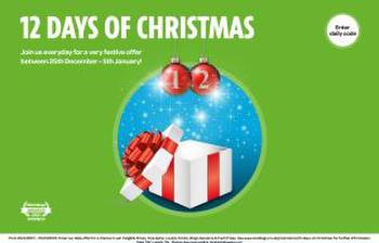 Win cash, free spins and vouchers with Sun Bingo's 12 days of Christmas prize draw