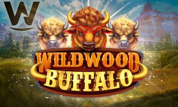 Wizard Games launches latest hit Wildwood Buffalo