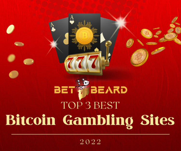 3 Best Bitcoin Gambling Sites 2022 Betbeard
