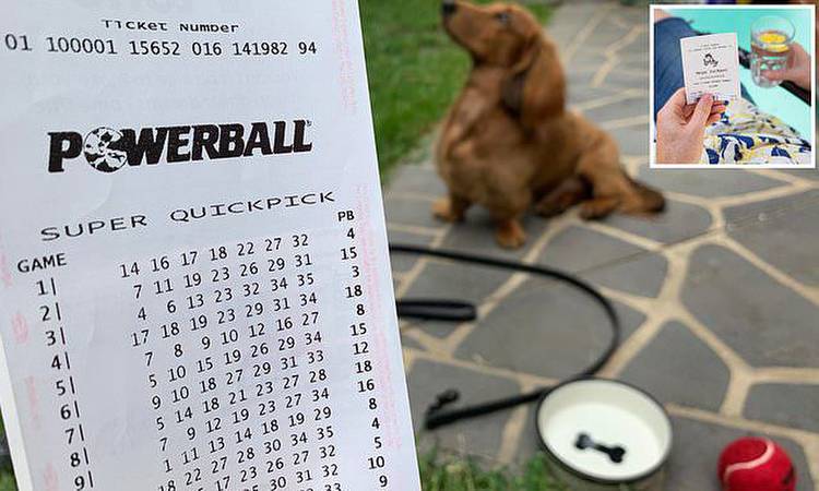 $4.6million Powerball jackpot: Winner to buy a dog and go on holiday